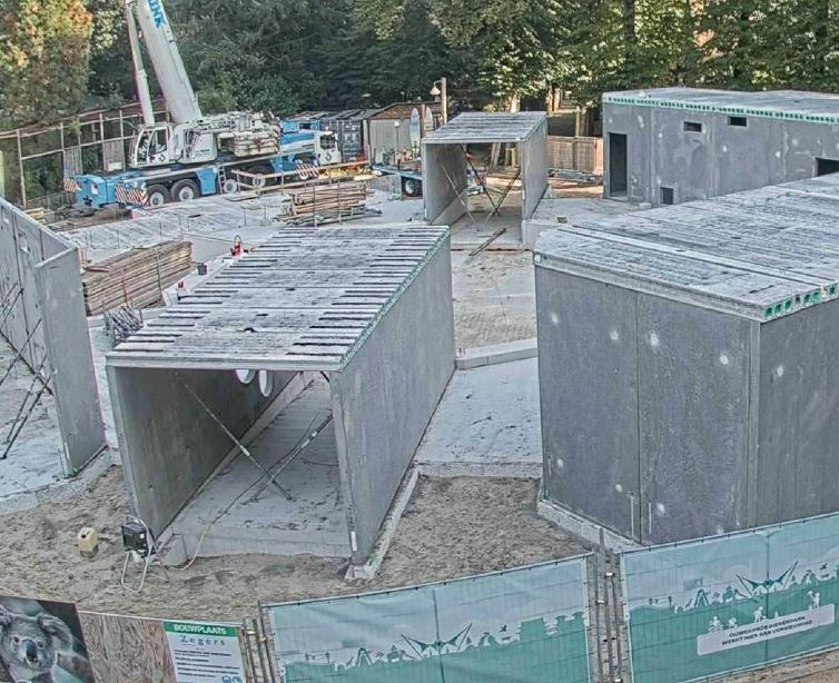 Nieuwbouw koalaverblijf